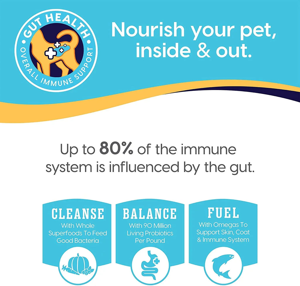 Solid Gold Grain Free Wet Cat Food Pate - Made with Real Salmon & Pumpkin - Triple Layers Canned Cat Food Mousse, Pate, and Shreds for Healthy Digestion, Weight Control, & Overall Immunity