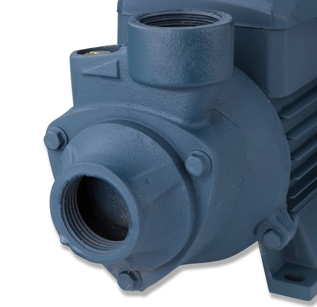 Neiko 50639 Electric Centrifugal Clear Water Pump, 1