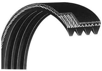 Cybex Jason Flexonic 8pj602 -16829 Motor Drive Belt Works Main Treadmill