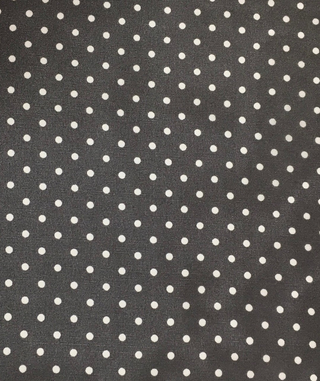 Cowboy Polka Dot Charcoal Regular Silk Scarf ()