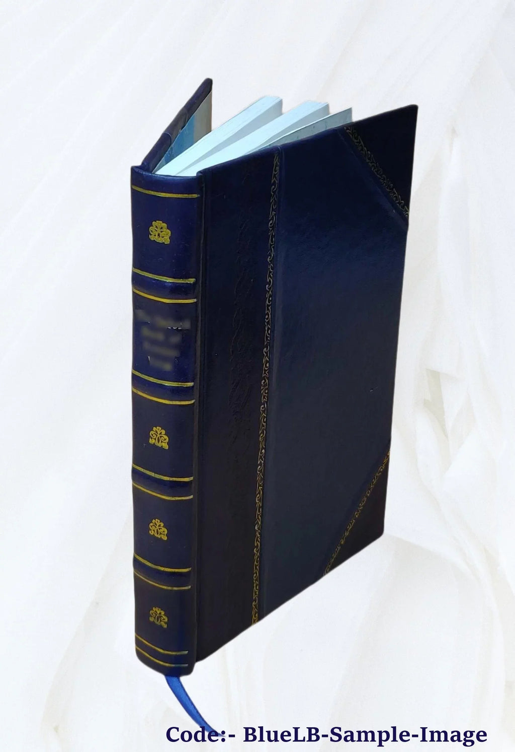 Indian ghost stories 1919 [Leather Bound]