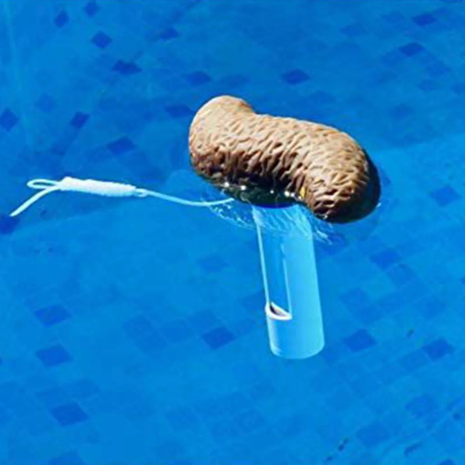 Funny Poop Shaped Floating Pool With Accurate Temperature Display Hilarious Novelty Bathing Accessory For Kids & Adults Pool Party Gift Idea 100ml