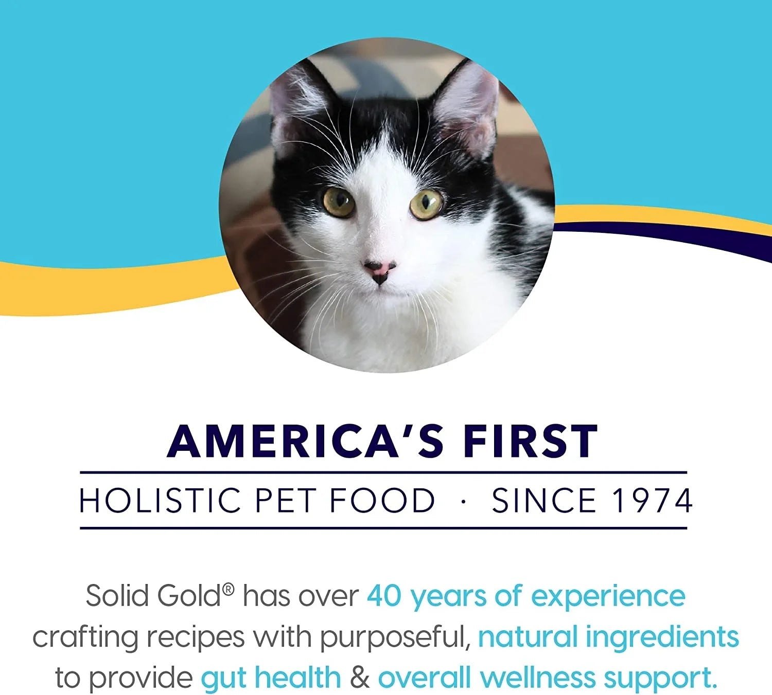 Solid Gold Grain Free Wet Cat Food Pate - Made with Real Salmon & Pumpkin - Triple Layers Canned Cat Food Mousse, Pate, and Shreds for Healthy Digestion, Weight Control, & Overall Immunity