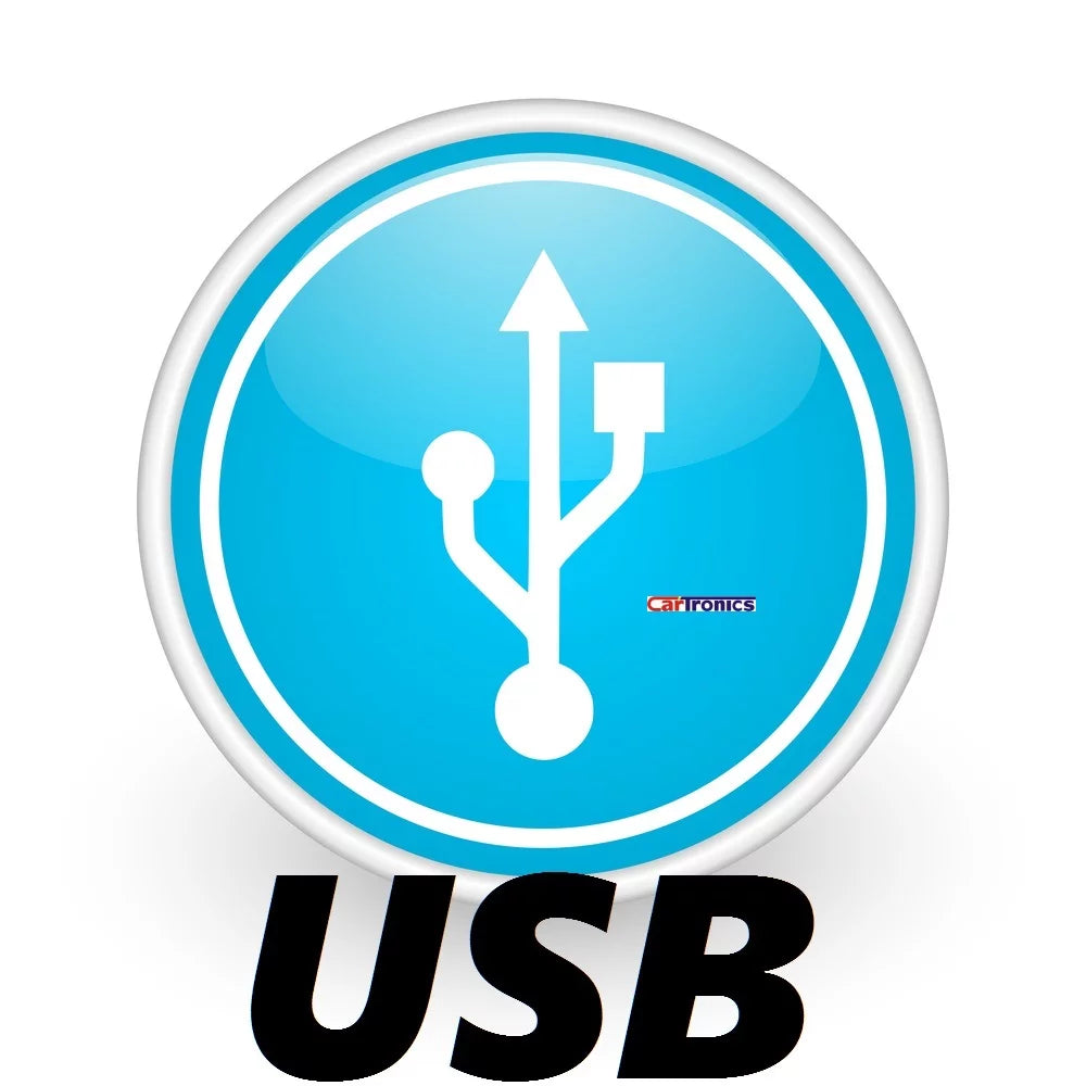 2013-2019     /