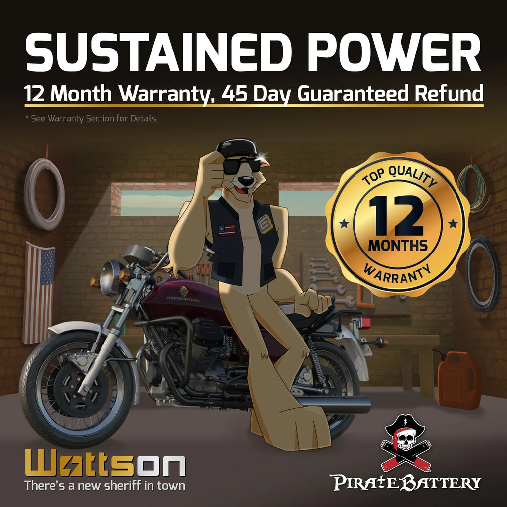 Pirate Battery -- (50-- 12 Volt,20 Ah, 260 ) Motorcycle Battery for Yamaha 1300cc Xvz13 Venture/royale 1987