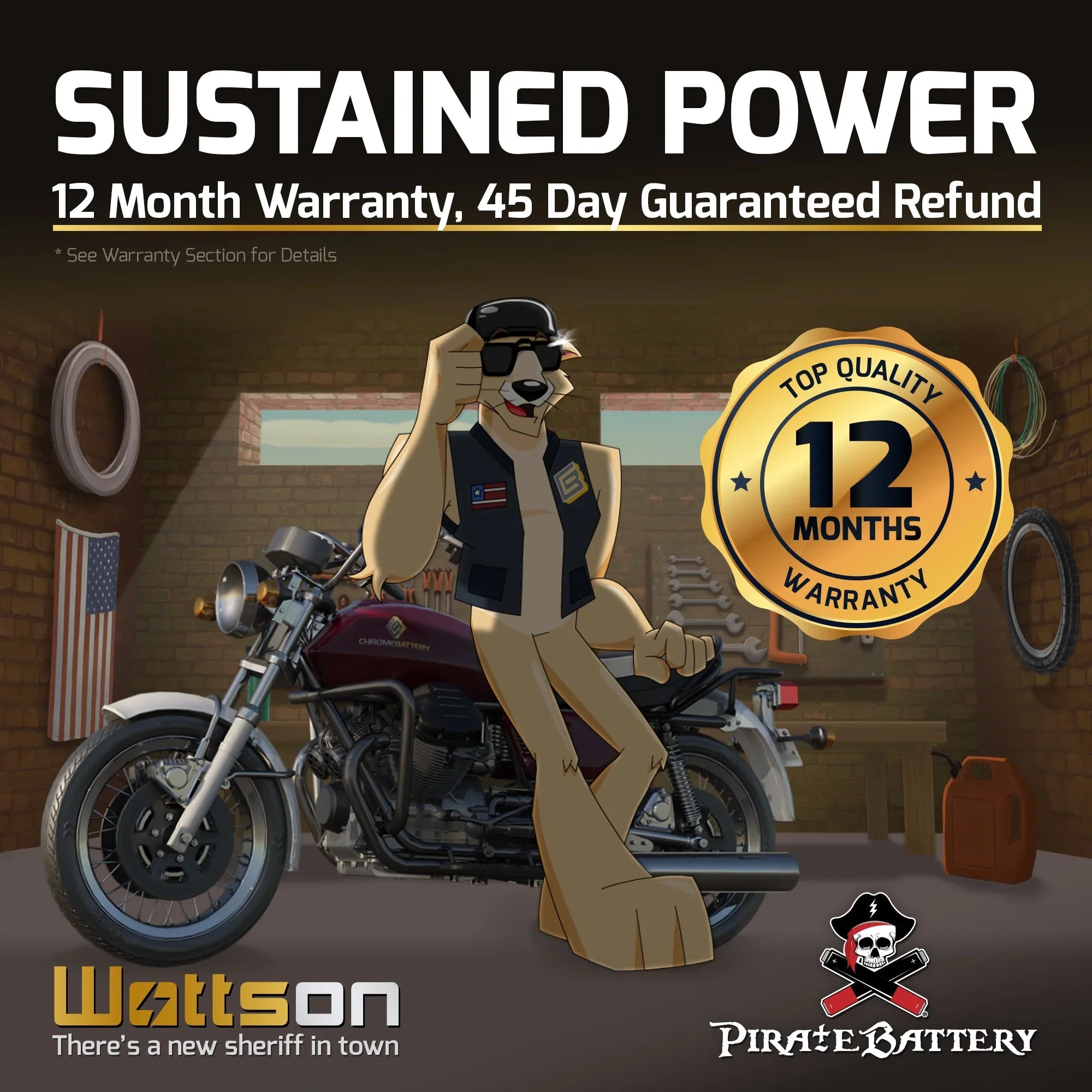 Pirate Battery -- (50-- 12 Volt,20 Ah, 260 ) Motorcycle Battery for Yamaha 1300cc Xvz13 Venture/royale 1987