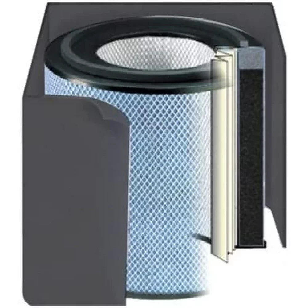 Austin Air  Health-Mate Filter Air Purifier, Standard, 1 Black