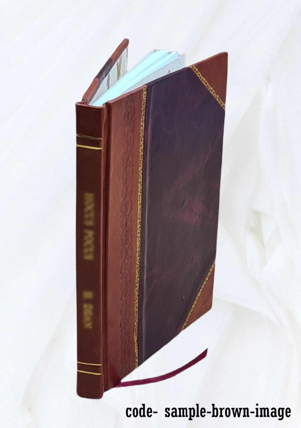 Guide du voyageur à Genève, autour du Lac et au bassin du Rhone supérieur ... 1874 [Leather Bound]