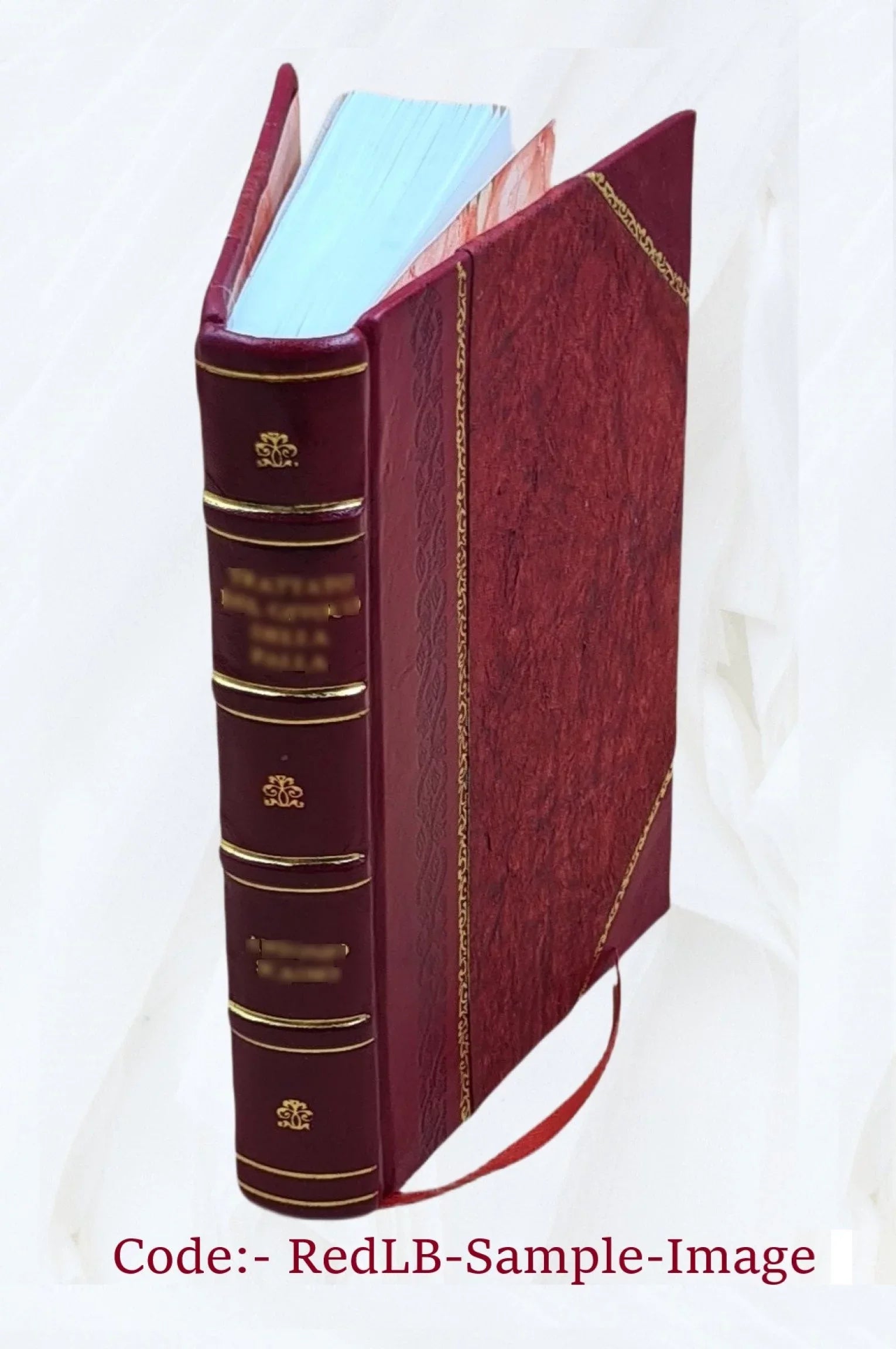 Prakarat Roopmala 1926 [Leather Bound]