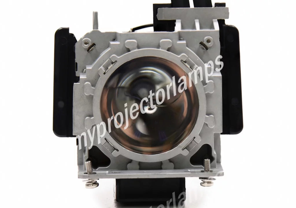 Panasonic - Projector Lamp with Module