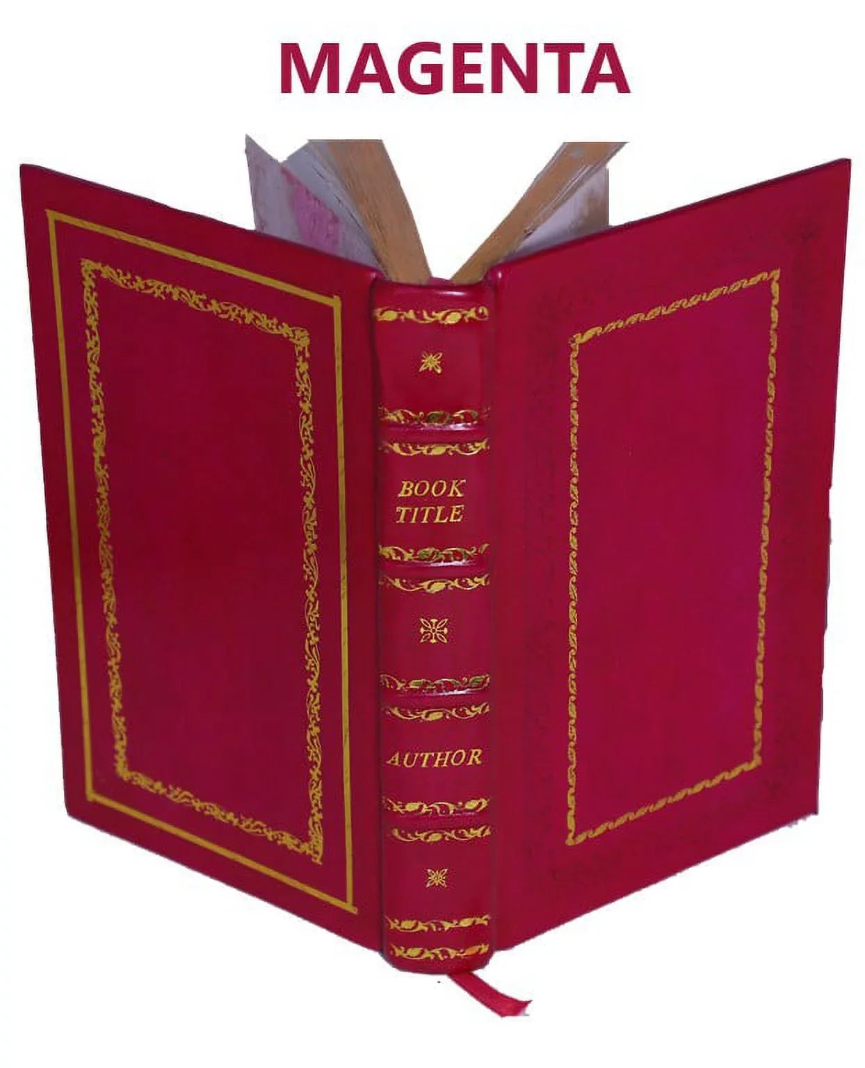 Remarks upon alchemy and the alchemists : indicating a method of disshielding the true nature of hermetic philosophy : and showing that the search after the [Premium Leather Bound]