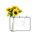 Virgo Constellation Sign Zodiac Artificial Sunflower Vases Bottle Blessing Card