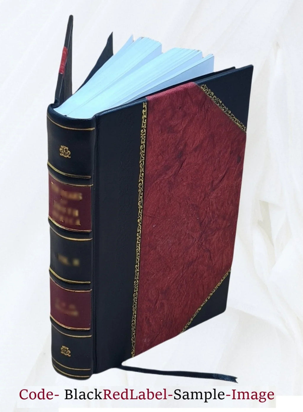 Indian ghost stories 1919 [Leather Bound]