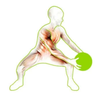 60030 Medicine Balls - 8 lbs