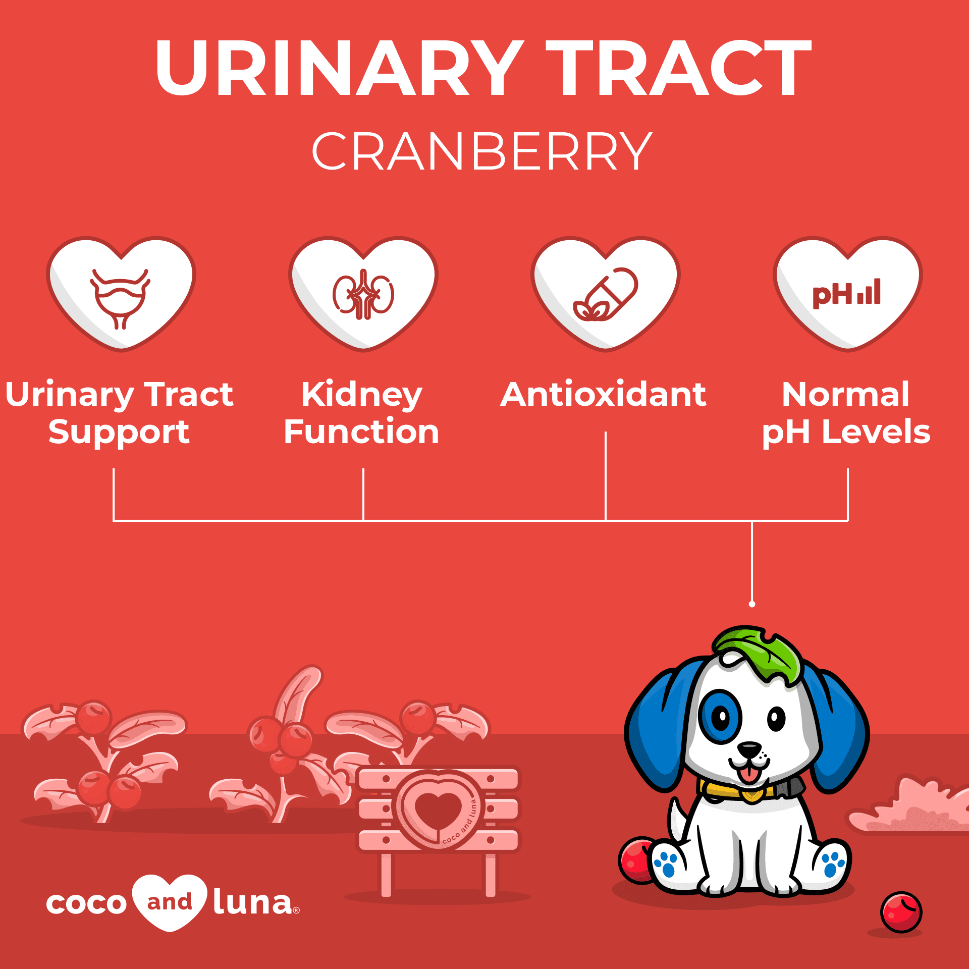 Coco and Luna Urinary Tract Support for Dogs - 300 Chewable Tablets